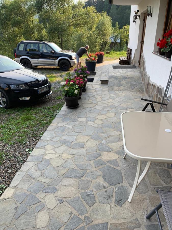 Pensiunea Pietrosul Borşa Екстериор снимка